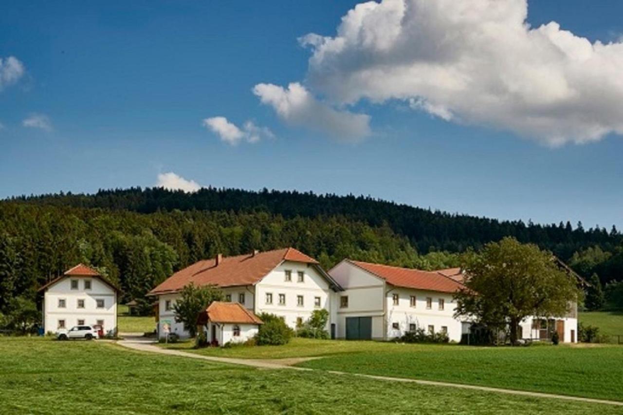 ヴァルトキルヒェンDer Breinhof - Euer Urlaubsbauernhofアパートメント エクステリア 写真